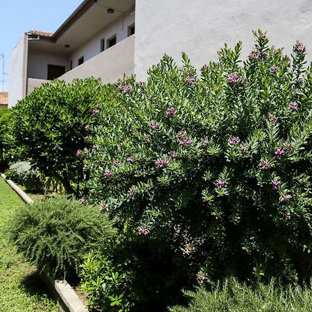 Yannis Apartments Afytos Bagian luar foto