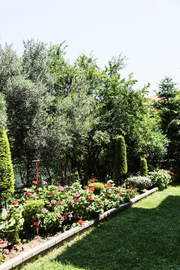Yannis Apartments Afytos Bagian luar foto